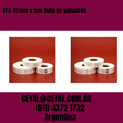 61 x 35 mm x mm Rollo de poliamida