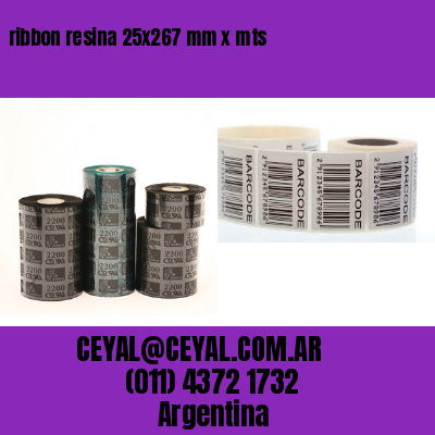 ribbon resina 25×267 mm x mts