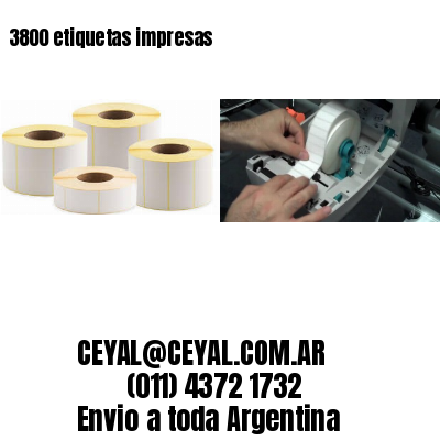 3800 etiquetas impresas