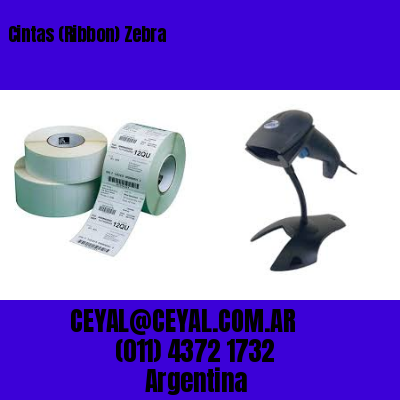 Cintas (Ribbon) Zebra