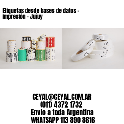 Etiquetas desde bases de datos – impresión - Jujuy