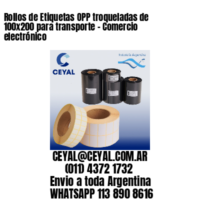 Rollos de Etiquetas OPP troqueladas de 100×200 para transporte – Comercio electrónico