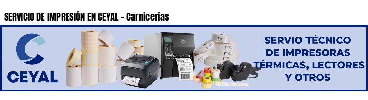 SERVICIO DE IMPRESIÓN EN CEYAL - Carnicerías