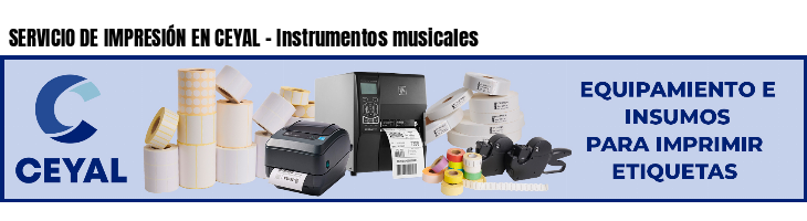 SERVICIO DE IMPRESIÓN EN CEYAL - Instrumentos musicales
