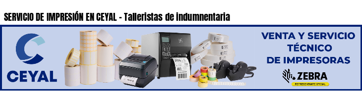 SERVICIO DE IMPRESIÓN EN CEYAL - Talleristas de indumnentaria