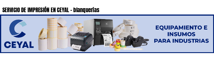 SERVICIO DE IMPRESIÓN EN CEYAL - blanquerías