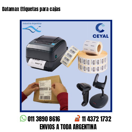 Datamax Etiquetas para cajas