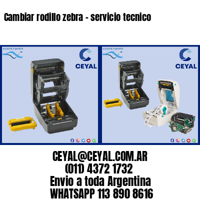 Cambiar rodillo zebra – servicio tecnico