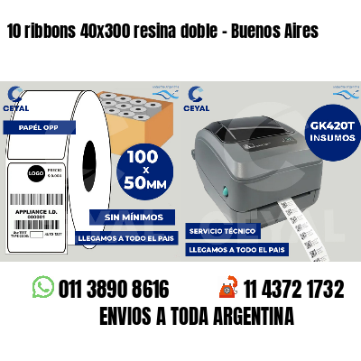 10 ribbons 40x300 resina doble - Buenos Aires
