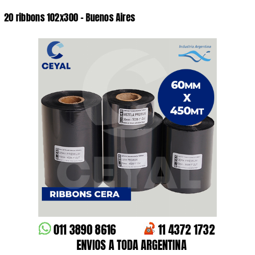 20 ribbons 102×300 – Buenos Aires