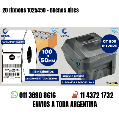 20 ribbons 102x450 - Buenos Aires