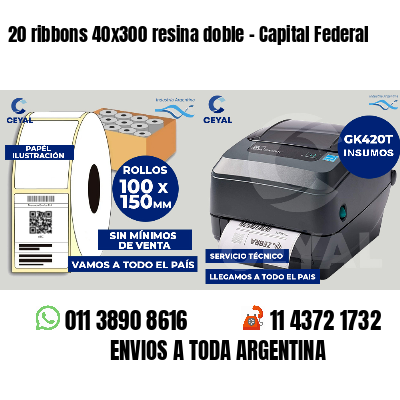 20 ribbons 40x300 resina doble - Capital Federal