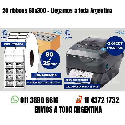 20 ribbons 60x300 - Llegamos a toda Argentina