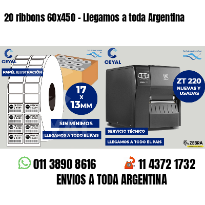 20 ribbons 60x450 - Llegamos a toda Argentina