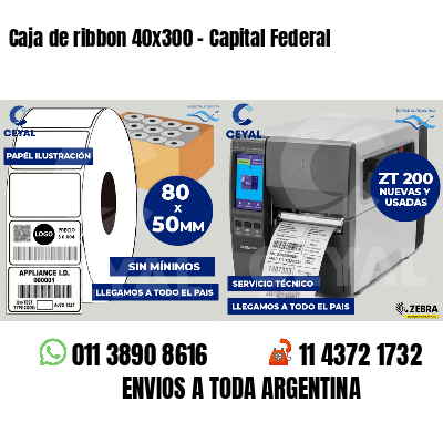 Caja de ribbon 40x300 - Capital Federal