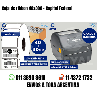 Caja de ribbon 40x300 - Capital Federal
