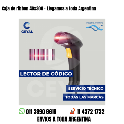 Caja de ribbon 40x300 - Llegamos a toda Argentina