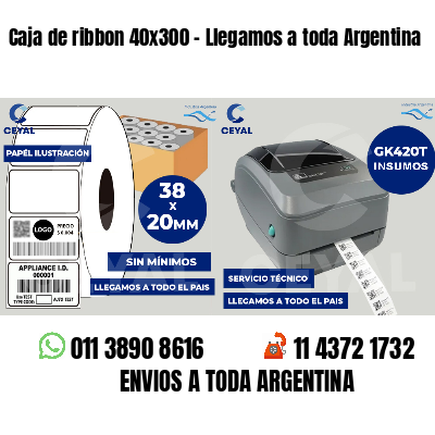 Caja de ribbon 40x300 - Llegamos a toda Argentina