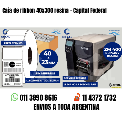 Caja de ribbon 40x300 resina - Capital Federal