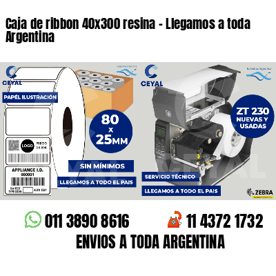 Caja de ribbon 40x300 resina - Llegamos a toda Argentina