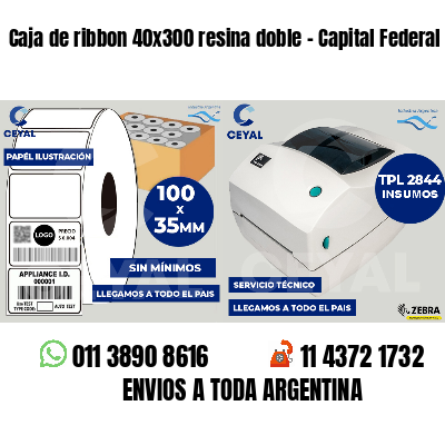 Caja de ribbon 40x300 resina doble - Capital Federal