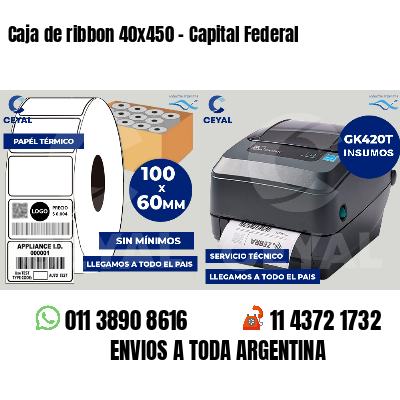 Caja de ribbon 40x450 - Capital Federal