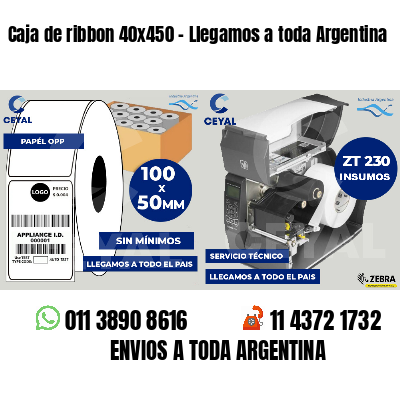 Caja de ribbon 40x450 - Llegamos a toda Argentina