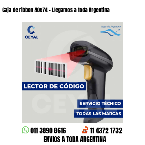 Caja de ribbon 40x74 - Llegamos a toda Argentina