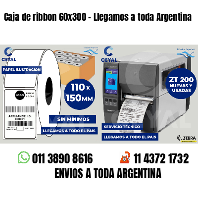 Caja de ribbon 60x300 - Llegamos a toda Argentina