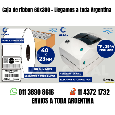 Caja de ribbon 60x300 - Llegamos a toda Argentina