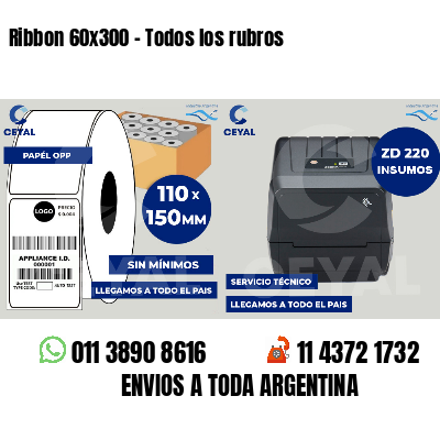 Ribbon 60x300 - Todos los rubros