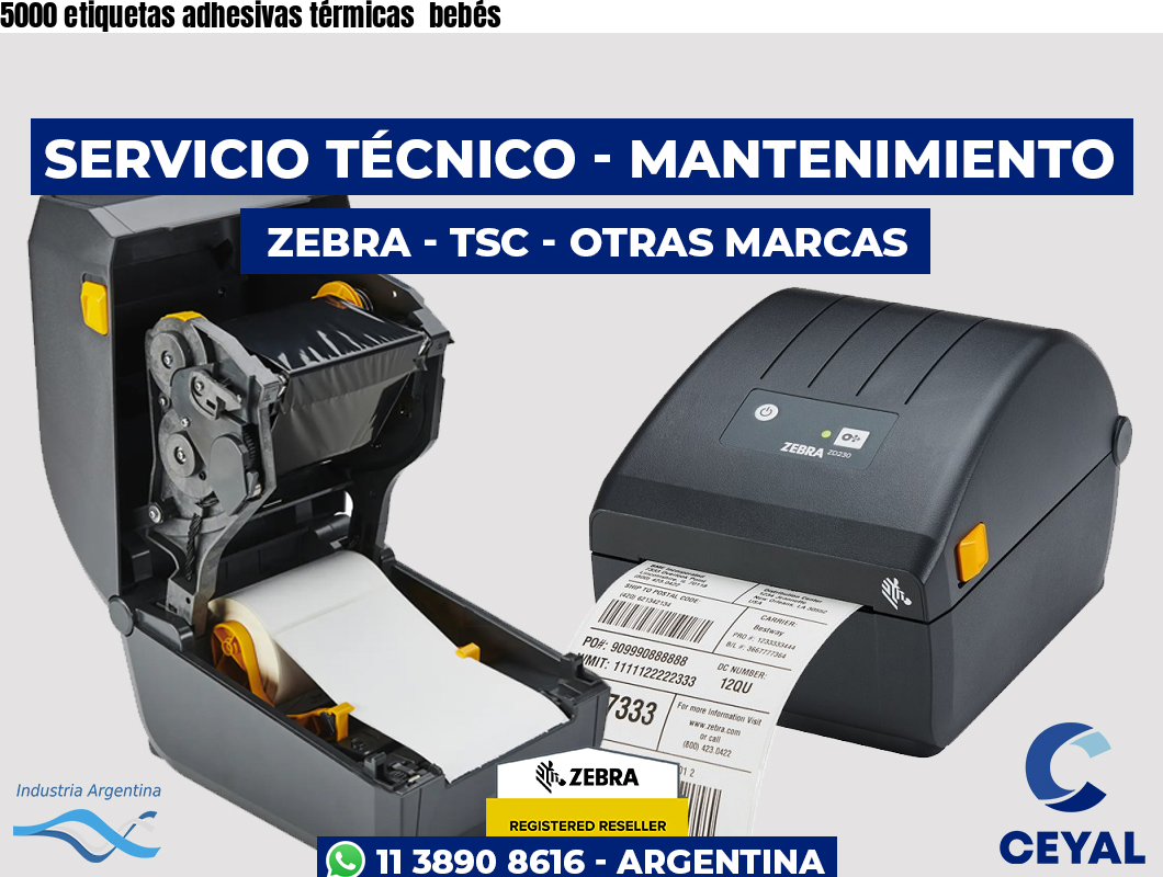5000 etiquetas adhesivas térmicas  bebés