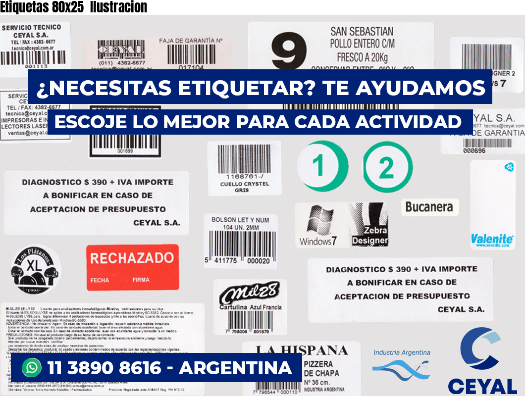 Etiquetas 80x25  Ilustracion