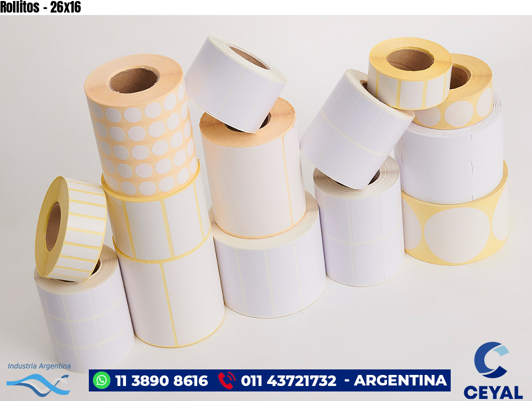 Rollitos - 26x16