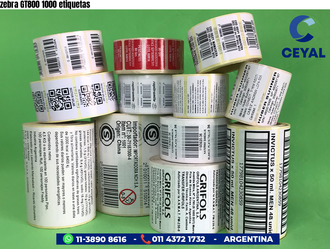 zebra GT800 1000 etiquetas