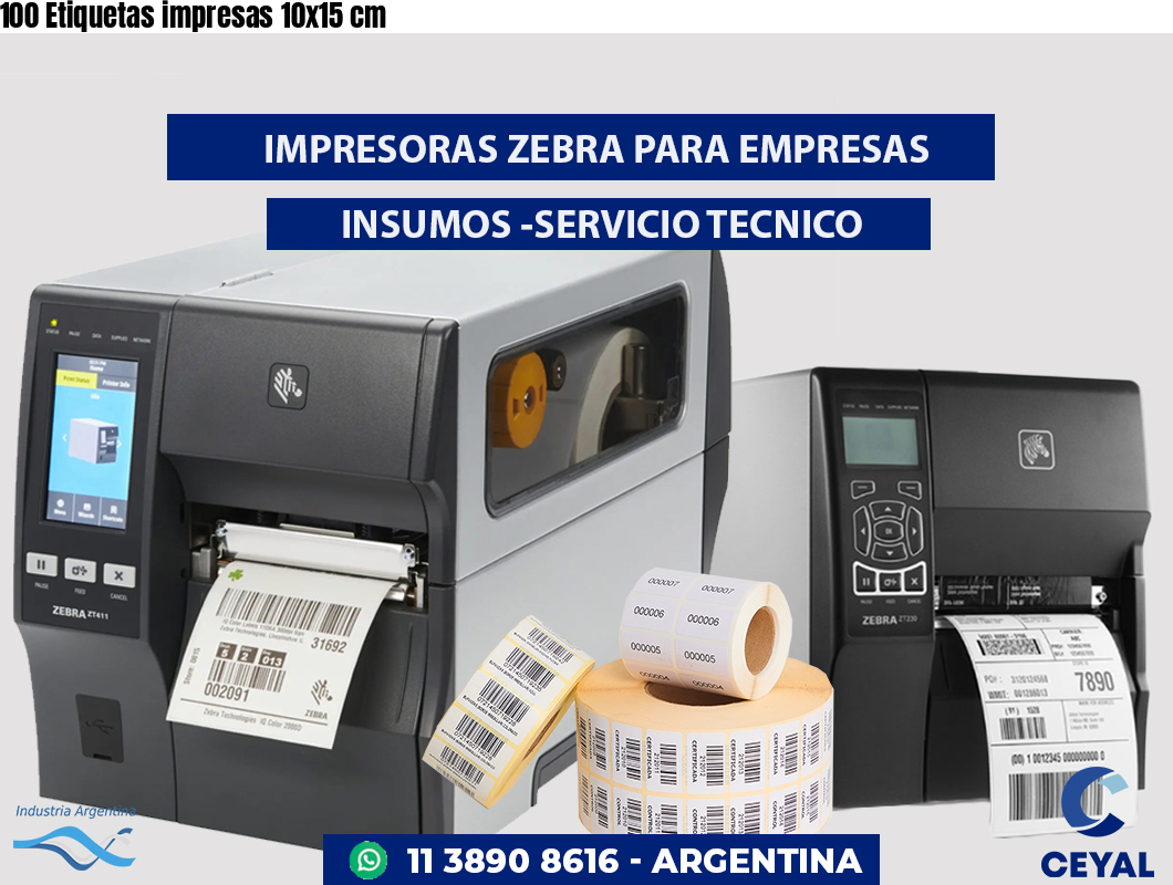 100 Etiquetas impresas 10x15 cm