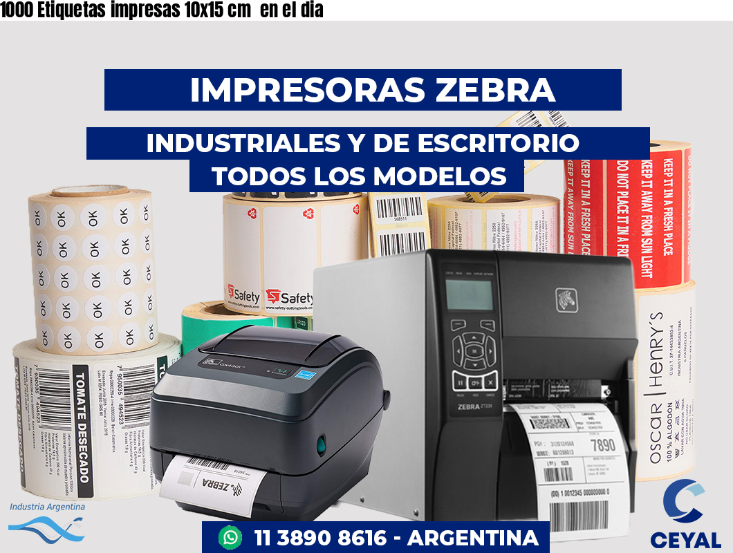 1000 Etiquetas impresas 10x15 cm  en el dia