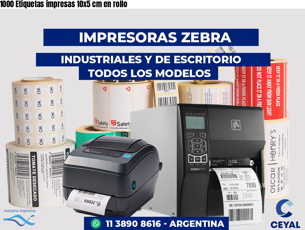 1000 Etiquetas impresas 10x5 cm en rollo