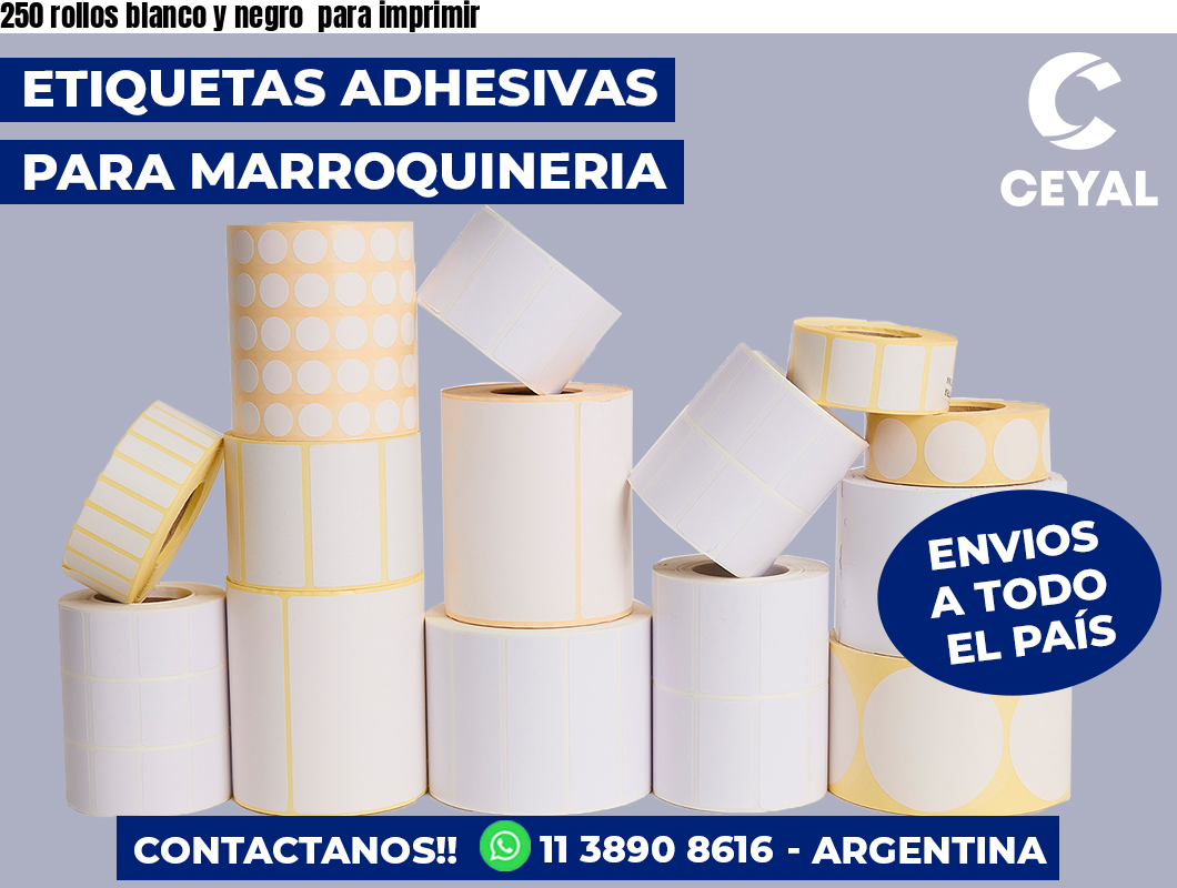 250 rollos blanco y negro  para imprimir