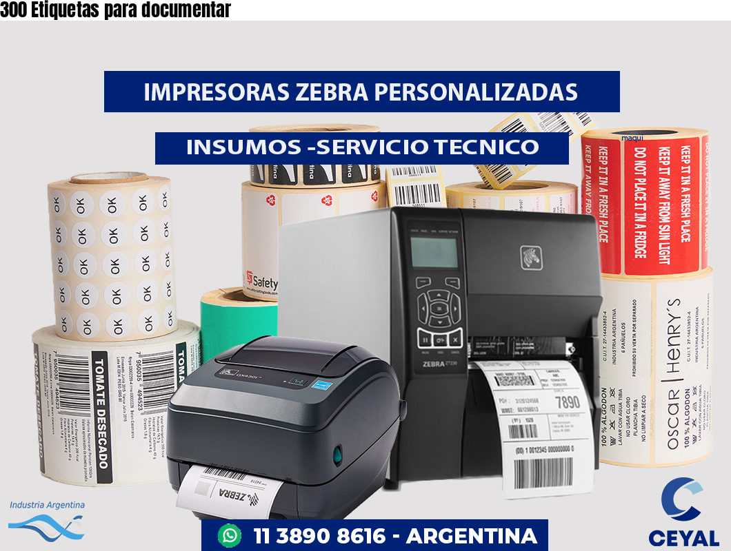 300 Etiquetas para documentar 