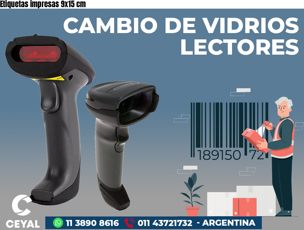 Etiquetas impresas 9x15 cm