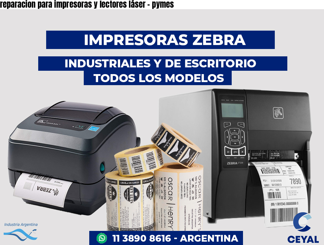 reparacion para impresoras y lectores láser - pymes