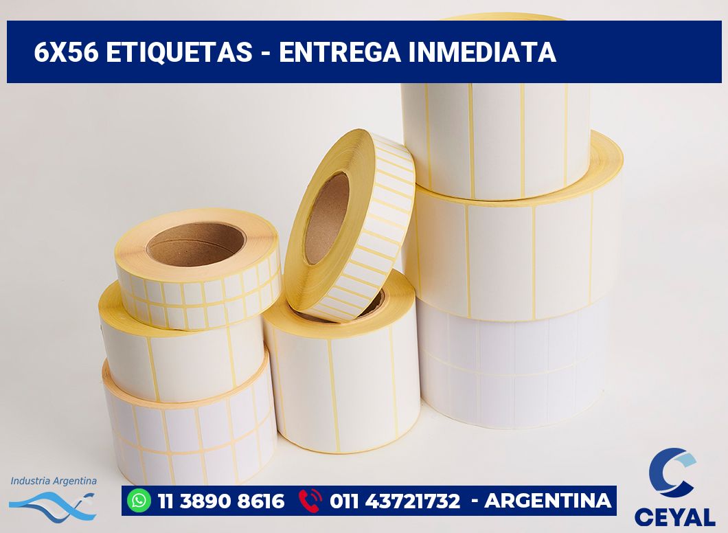 6×56 Etiquetas