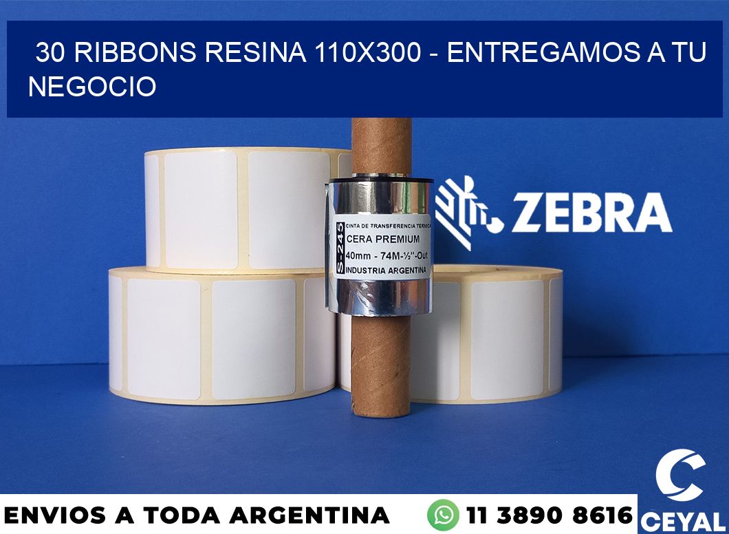 30 Ribbons resina 110x300 - entregamos a tu negocio