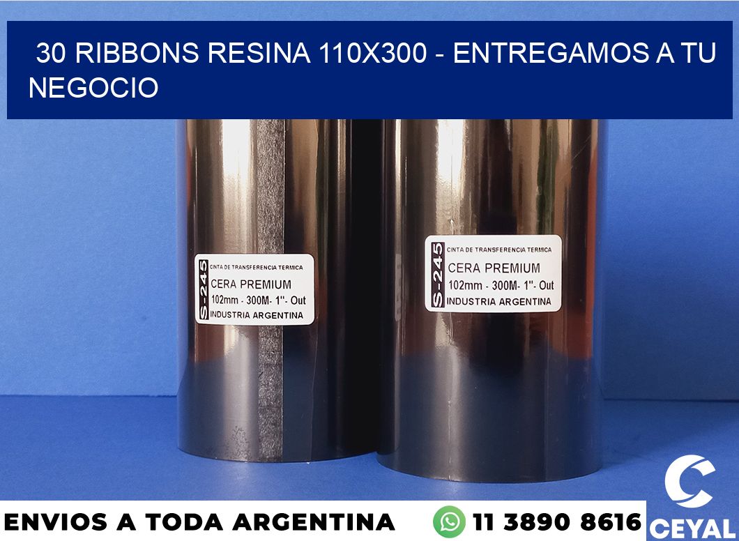 30 Ribbons resina 110×300 – entregamos a tu negocio