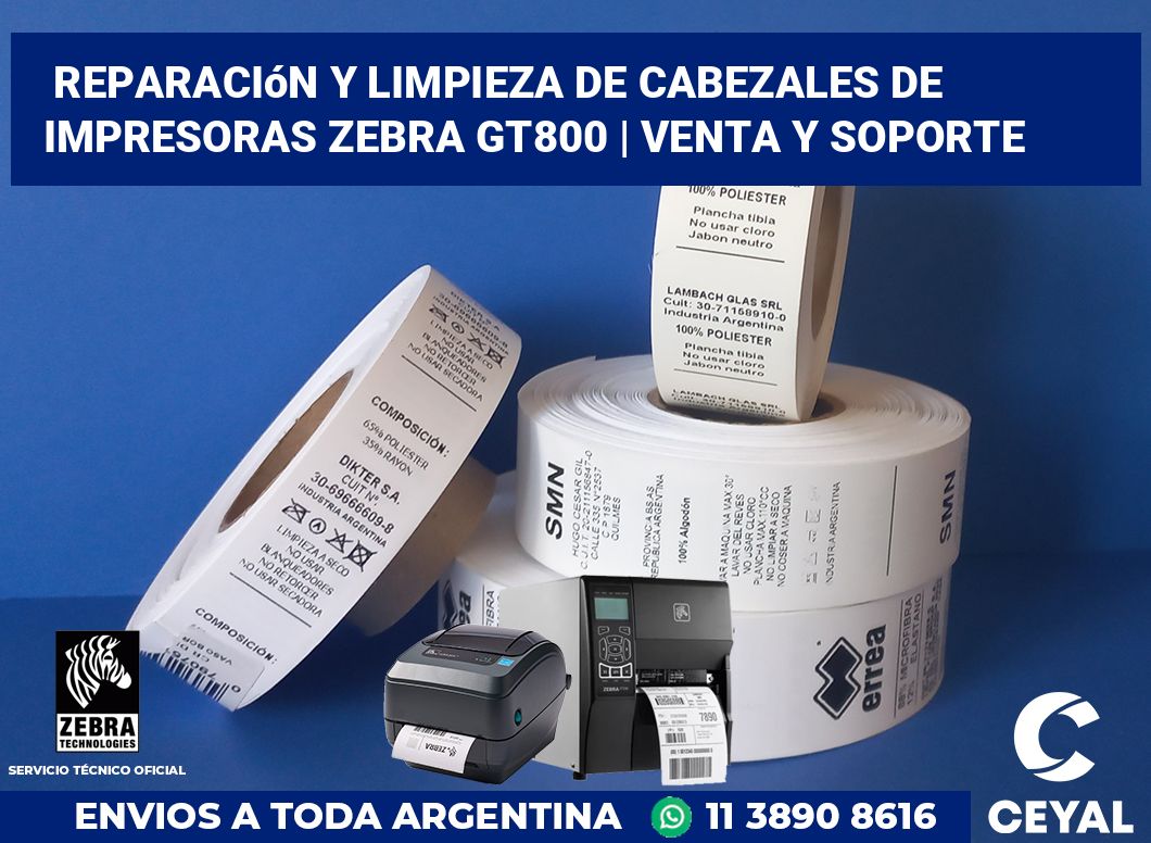 Reparación y limpieza de cabezales de impresoras Zebra GT800 | Venta y soporte