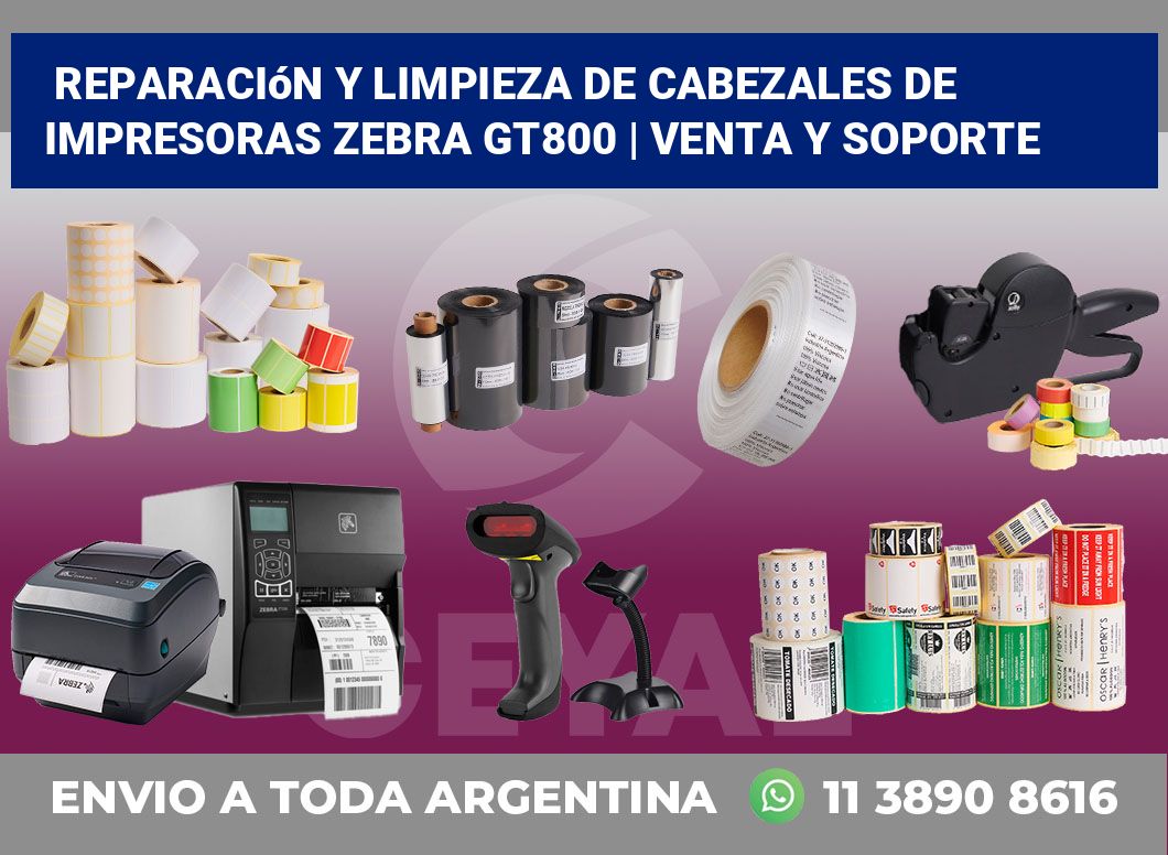 Reparación y limpieza de cabezales de impresoras Zebra GT800 | Venta y soporte