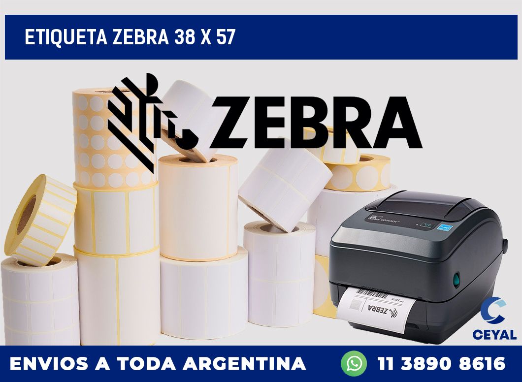 etiqueta zebra 38 x 57