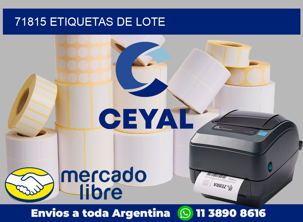 71815 Etiquetas de lote