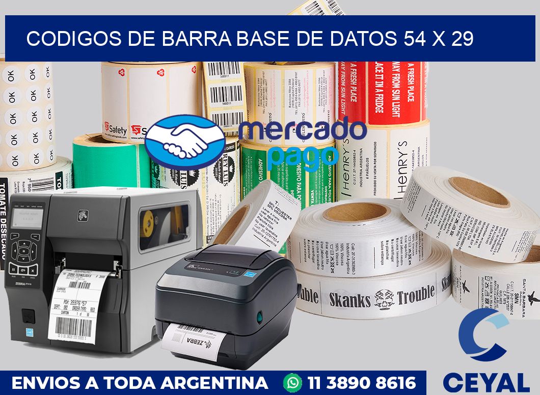 Codigos de barra base de datos 54 x 29